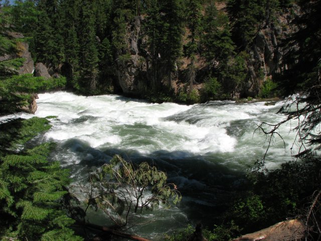 Benham Falls flows through a lava flow